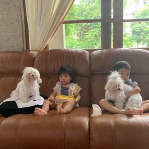 Meet your Posher, Master